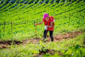 BIB: 
                            <button type="button" onclick="openModal(19161645)" class="btn btn-primary btn-sm float-right btn-popup" data-toggle="modal" data-target=".modal-high-quality">
                        <i class="fas fa-shopping-cart"></i> Add to Cart
                    </button>
                                            <button type="button" onclick="isThisMe(19161645, true)" class="btn btn-success btn-sm float-right btn-popup btn-isme hidden" data-toggle="tooltip" data-placement="bottom" title="นี่คือรูปของคุณใช่ไหม คลิกที่นี่เพื่อเอาเข้าอัลบั้ม">
                        <i class="fas fa-plus"></i> Add to album
                    </button>
                    <button type="button" onclick="isThisMe(19161645, false)" class="btn btn-warning btn-sm float-right btn-popup btn-isnotme hidden">
                        <i class="fas fa-ban"></i> Remove from album
                    </button>